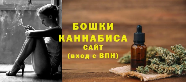 PSILOCYBIN Кодинск