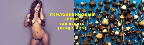 наркотики Алексин
